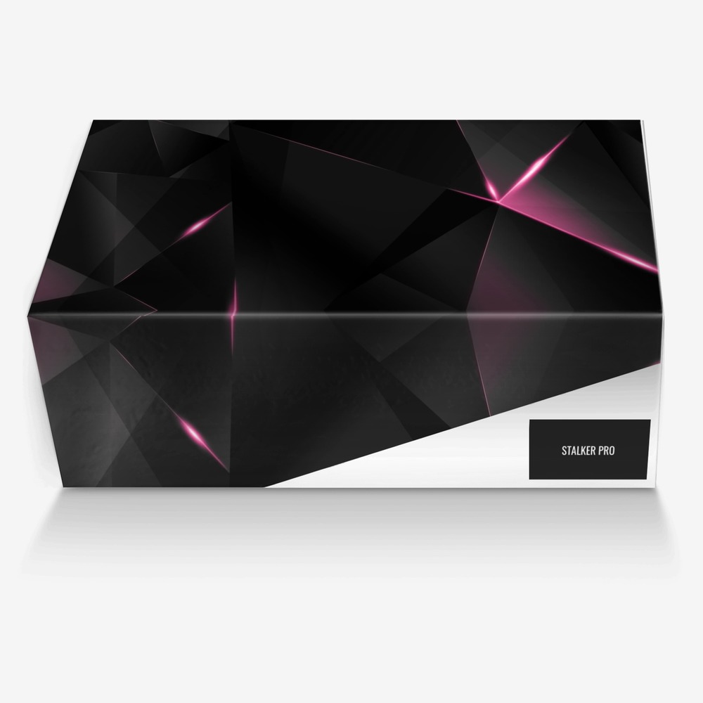 STALKER PRO custom made in Italy shoes by Seena Esmati | Box view