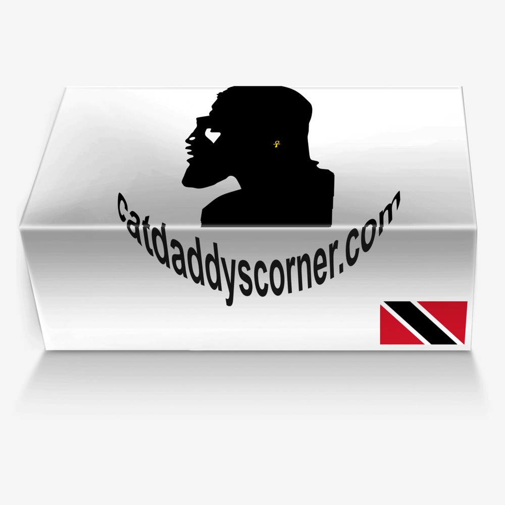 T and T Pride custom made in Italy shoes by Scott Thomas | Box view