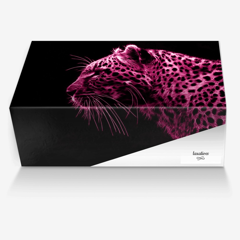 laxatives custom made in Italy shoes by Shoemaster Lol | Box view