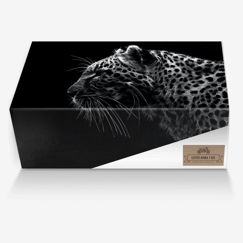 Levito-Kinka T Kix custom made in Italy shoes by Kinka T Kix | Box view