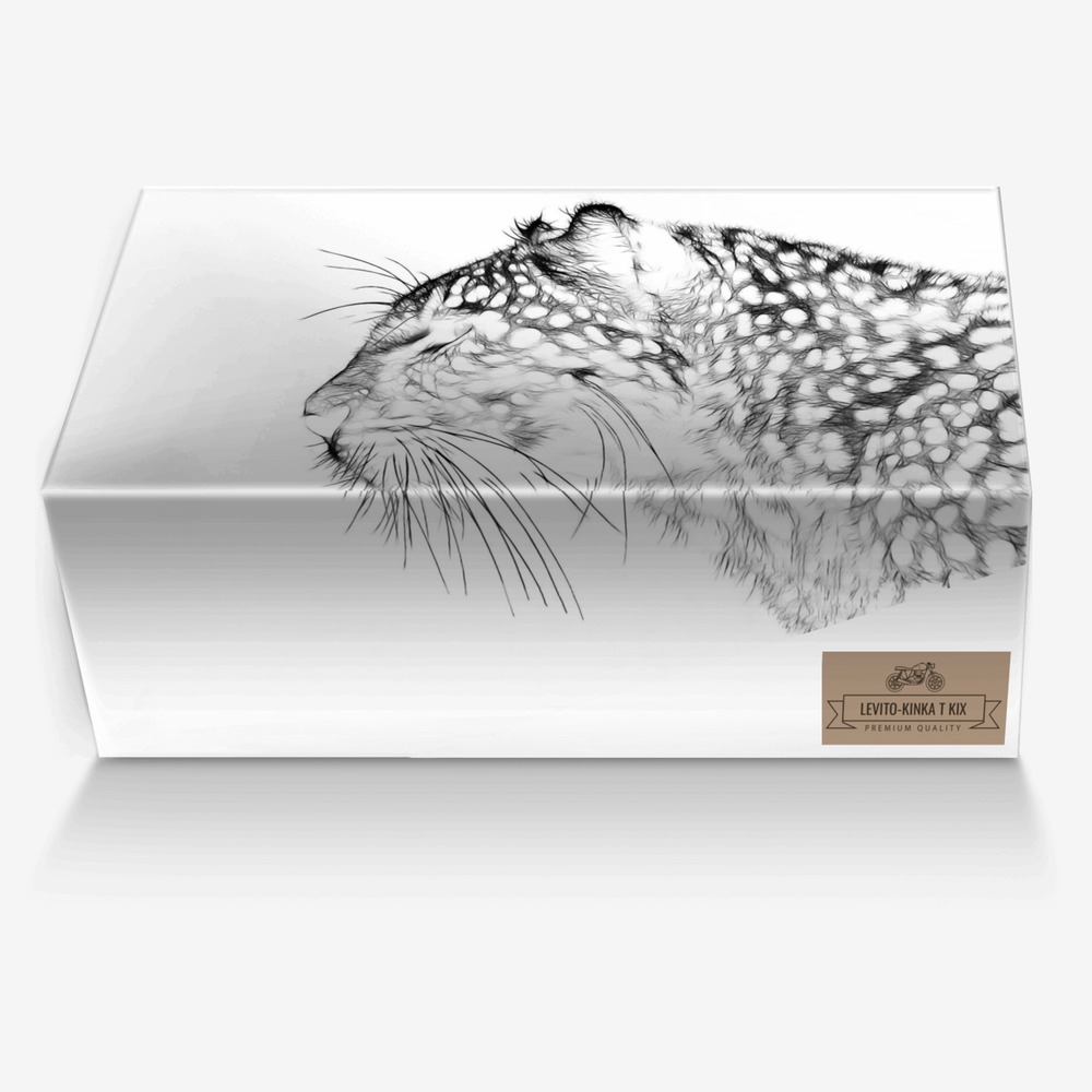 Levito-Kinka T Kix custom made in Italy shoes by Kinka T Kix | Box view