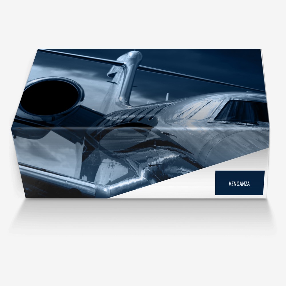 DMO  custom made in Italy shoes by Dmo | Box view