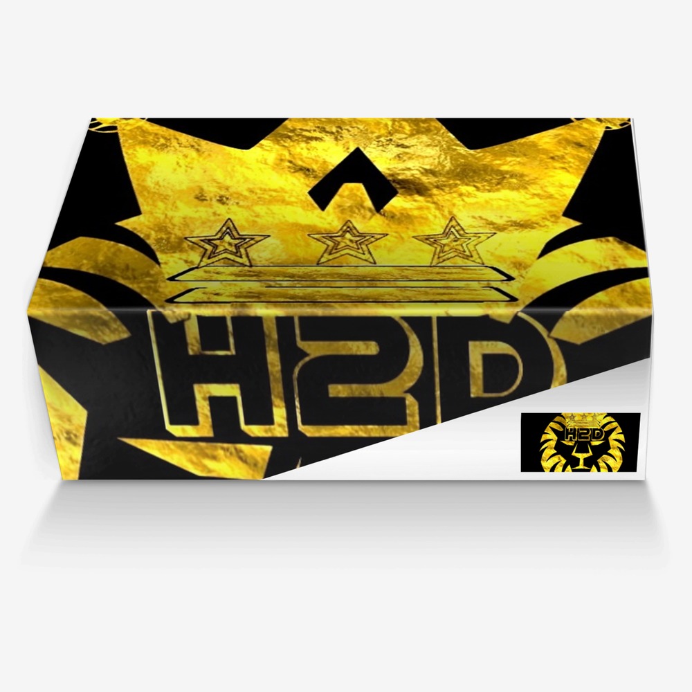 Hundos1 custom made in Italy shoes by Tony Crews | Box view