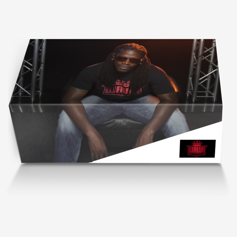 WAWA's Vision custom made in Italy shoes by Warren Snipe | Box view