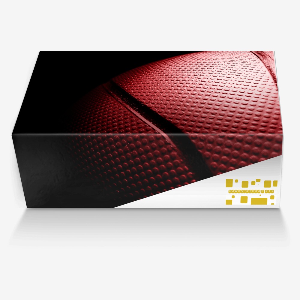 Hawks-Kinka T Kix custom made in Italy shoes by Kinka T Kix | Box view