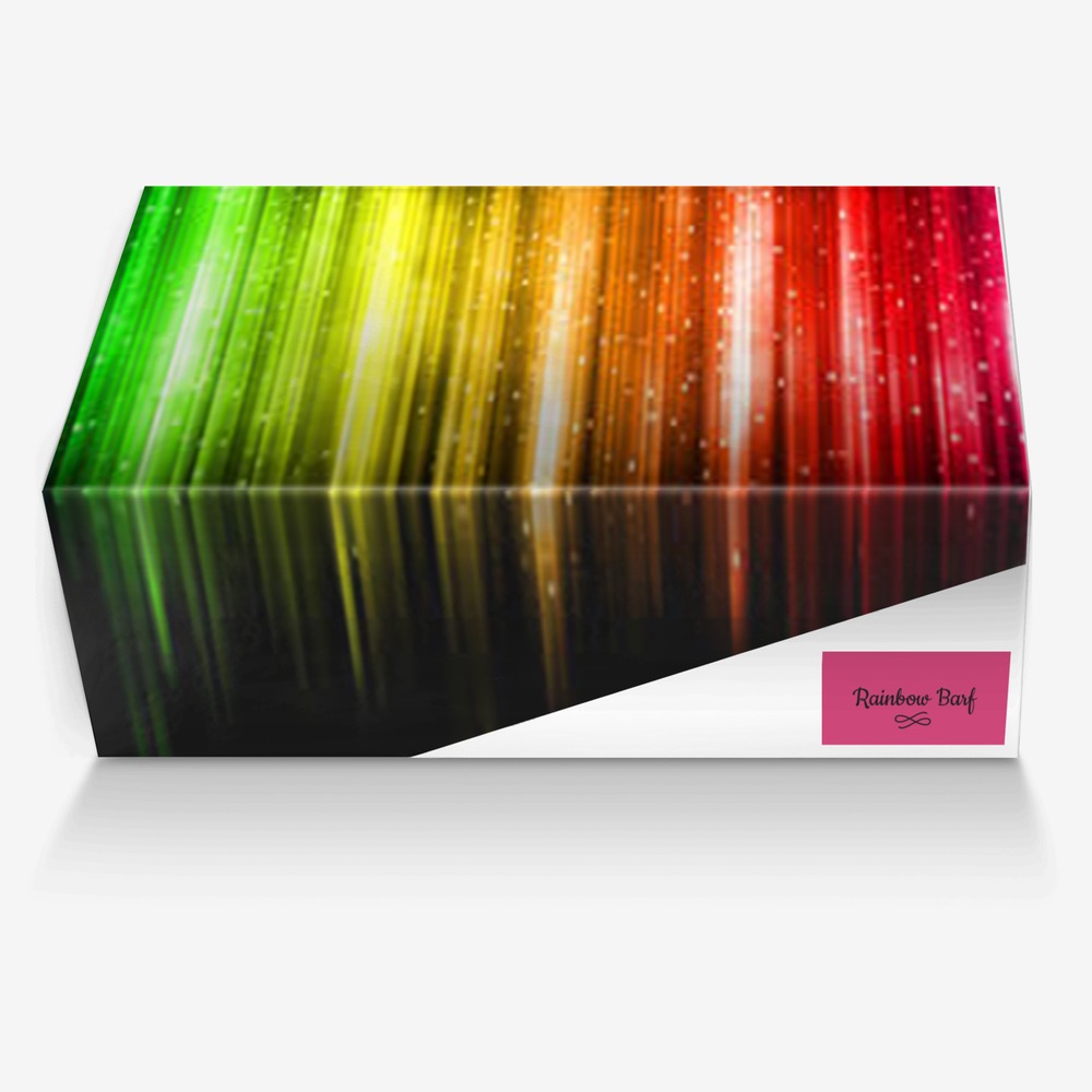 Rainbow Barf custom made in Italy shoes by Shyanna Sowder | Box view