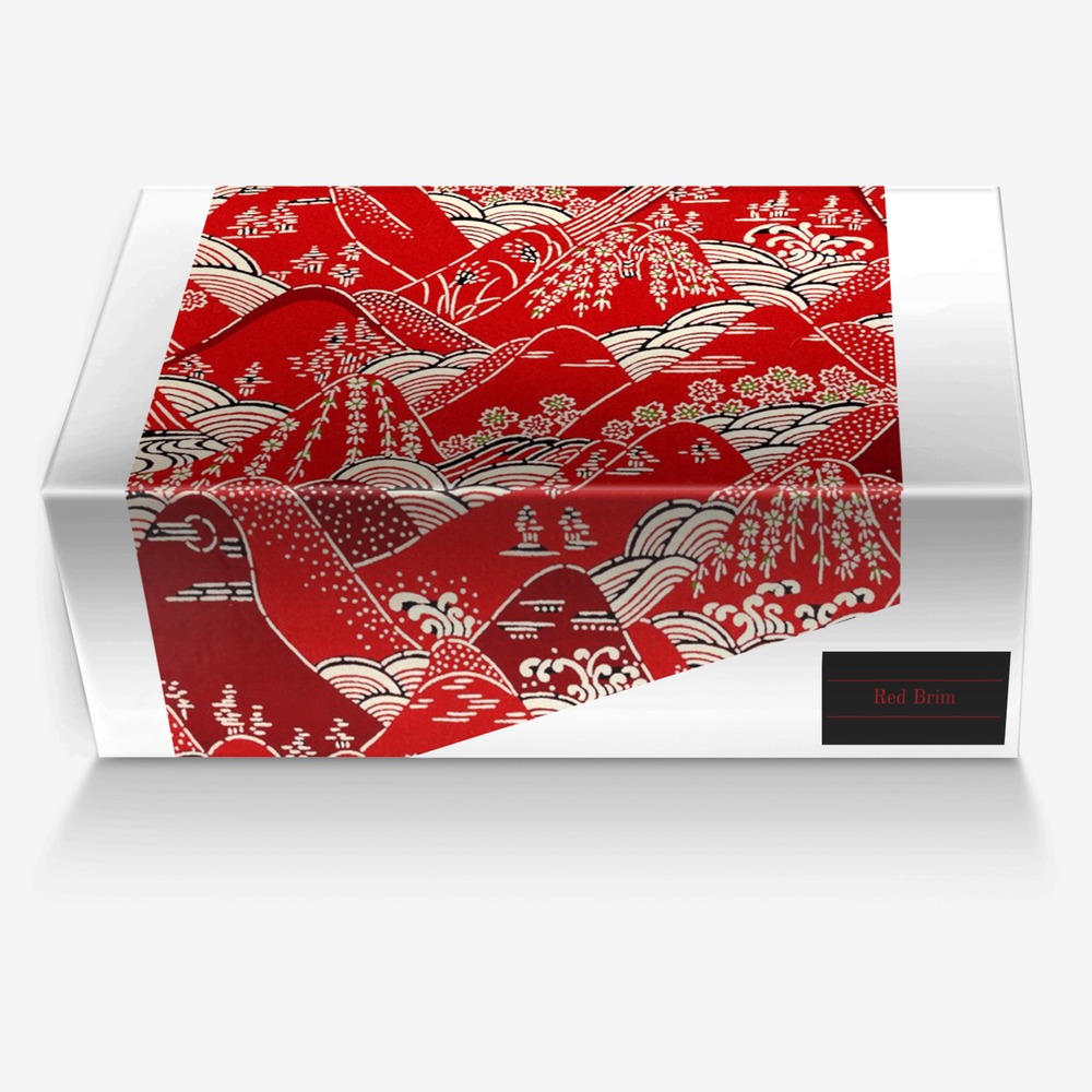 Red Brim custom made in Italy shoes by Facts Only | Box view