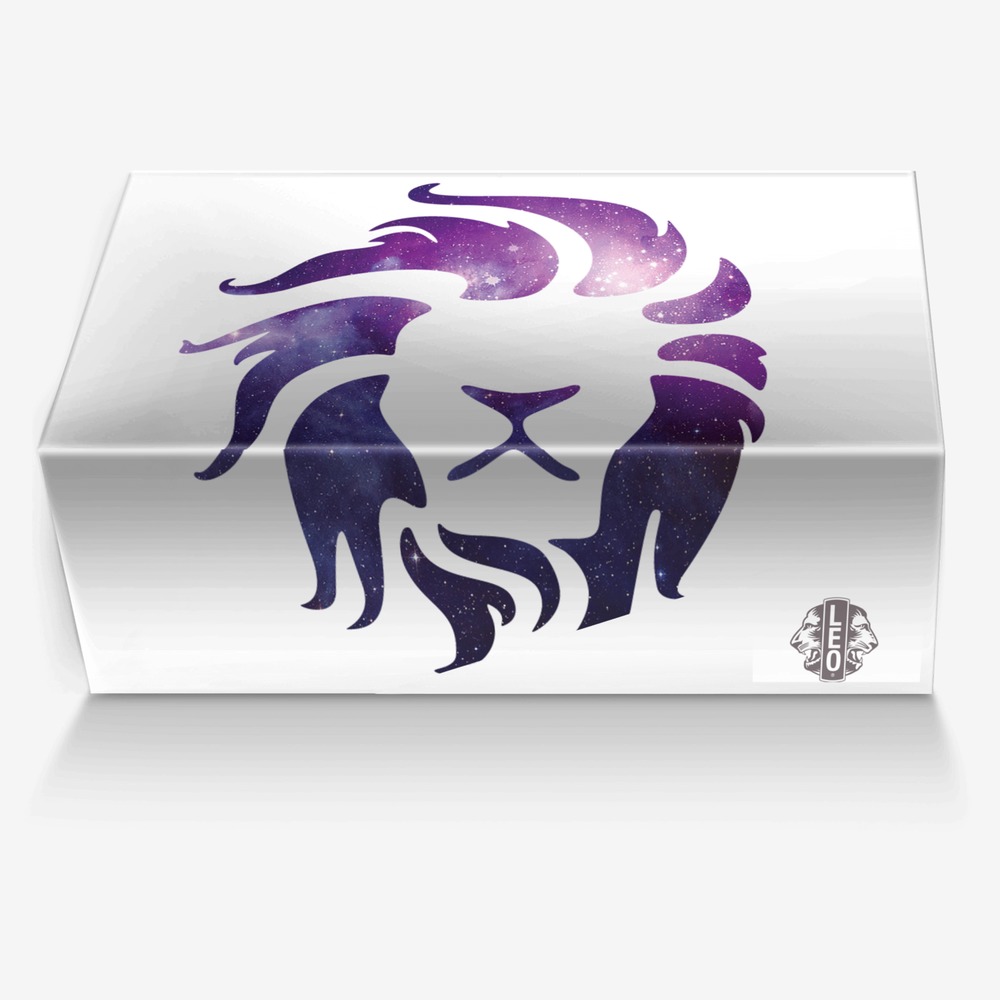 Leo Gang custom made in Italy shoes by Zayne Robbins | Box view