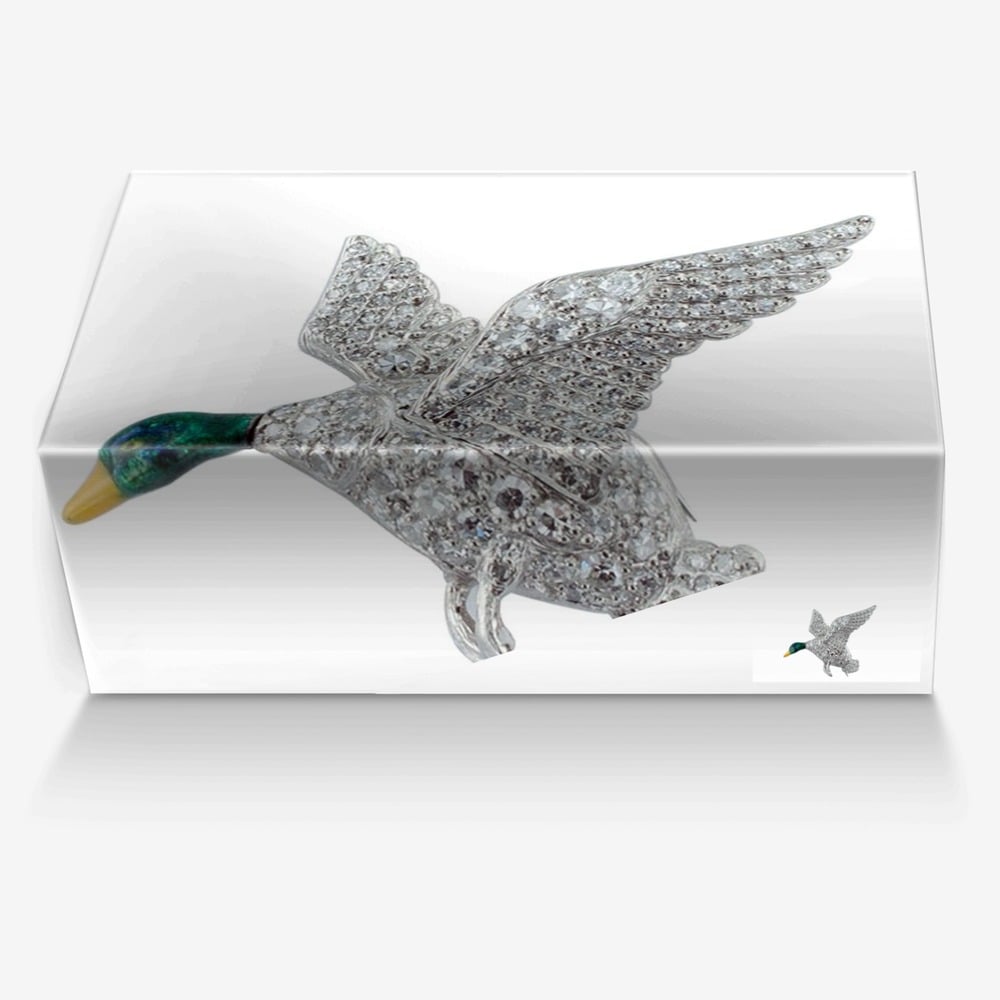 Diamond Duck custom made in Italy shoes by Josh | Box view