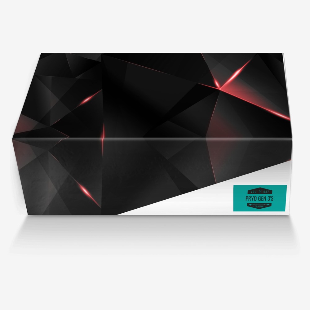 Pryo Gen 3's custom made in Italy shoes by Joshua Henry | Box view
