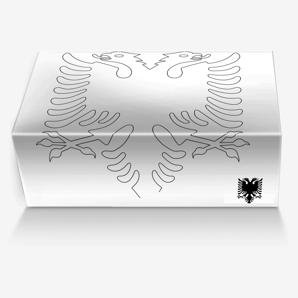 Gashi custom made in Italy shoes by Leah | Box view