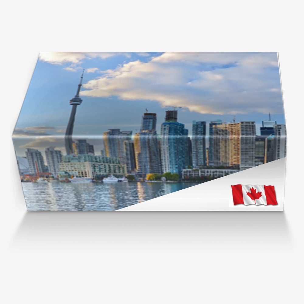 CANADA custom made in Italy shoes by Mohamed | Box view