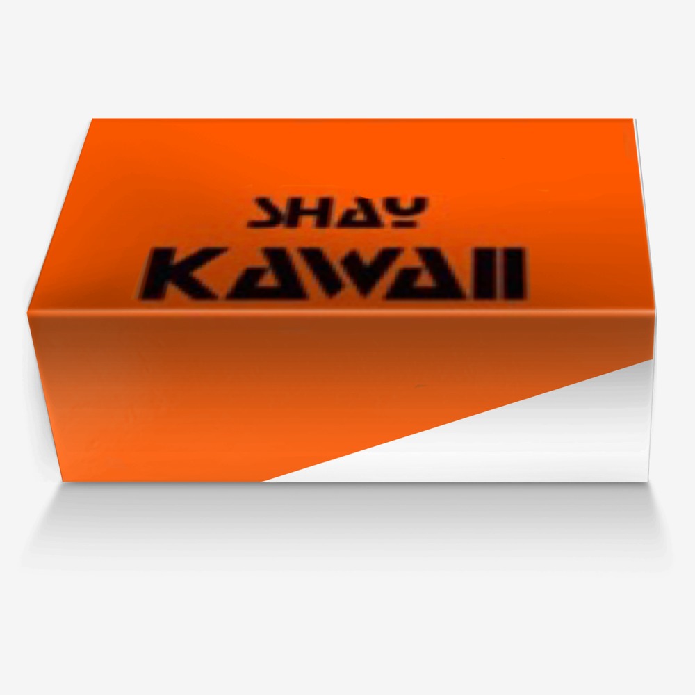 SHAY KAWAII custom made in Italy shoes by Kvn Elvn | Box view