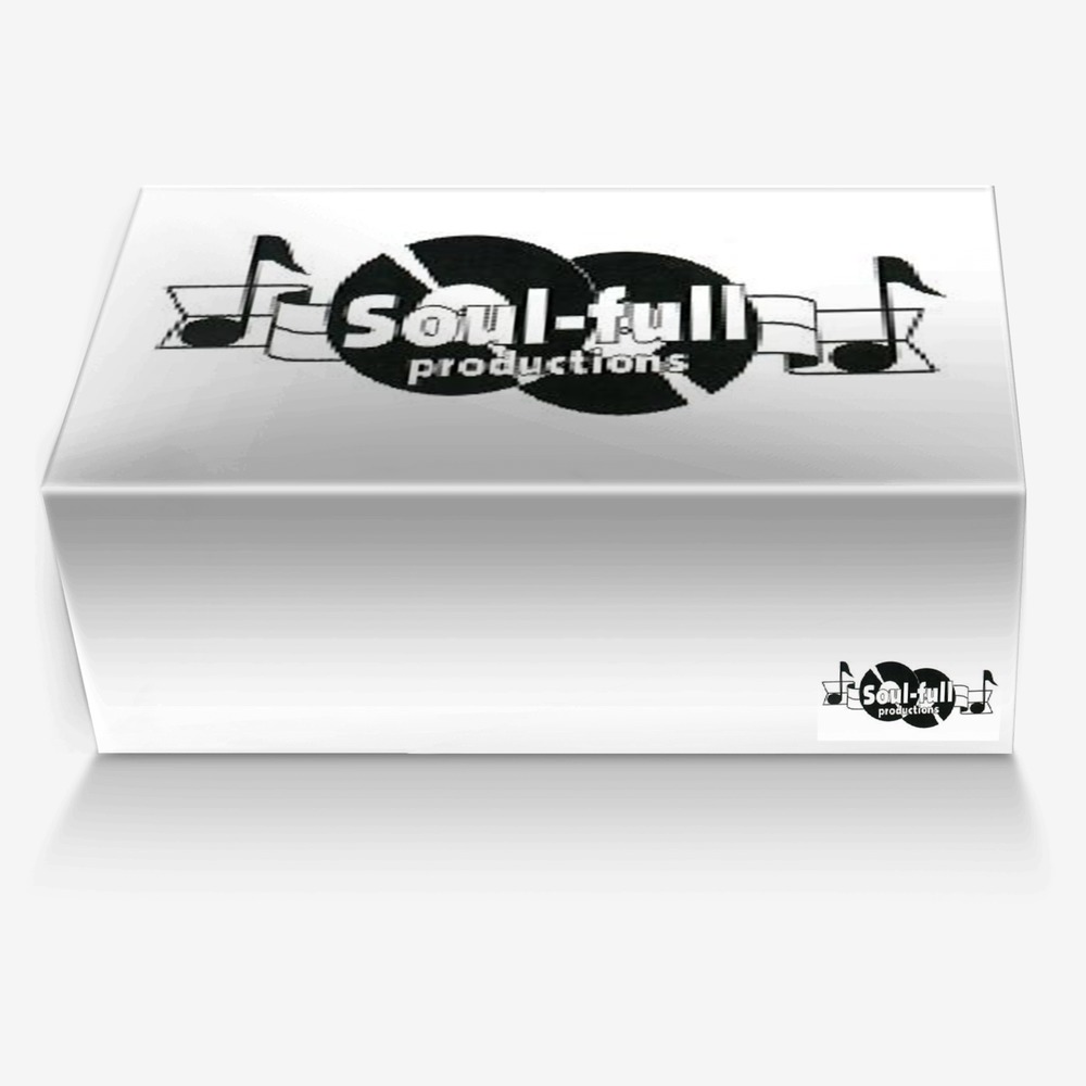 SOUL-FULL SNEAKERS custom made in Italy shoes by Grande Gato | Box view