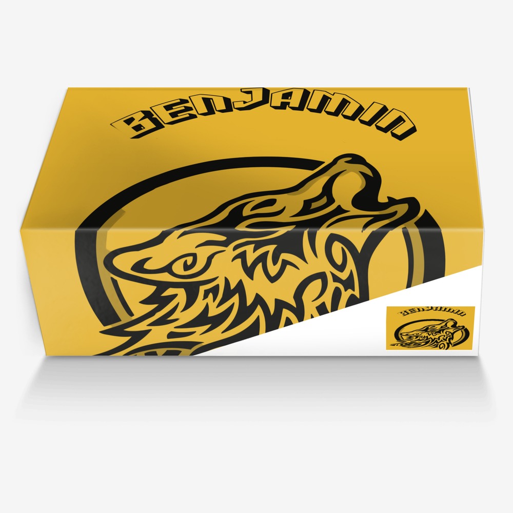 BENJAMINS custom made in Italy shoes by Yawanathan Yasharahla | Box view