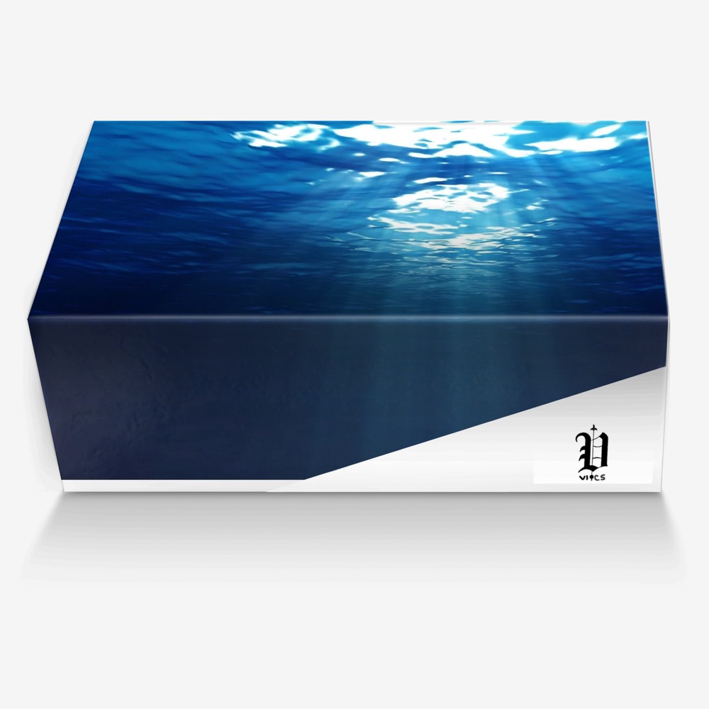 vics ocean 2 custom made in Italy shoes by Brayden Murphy | Box view