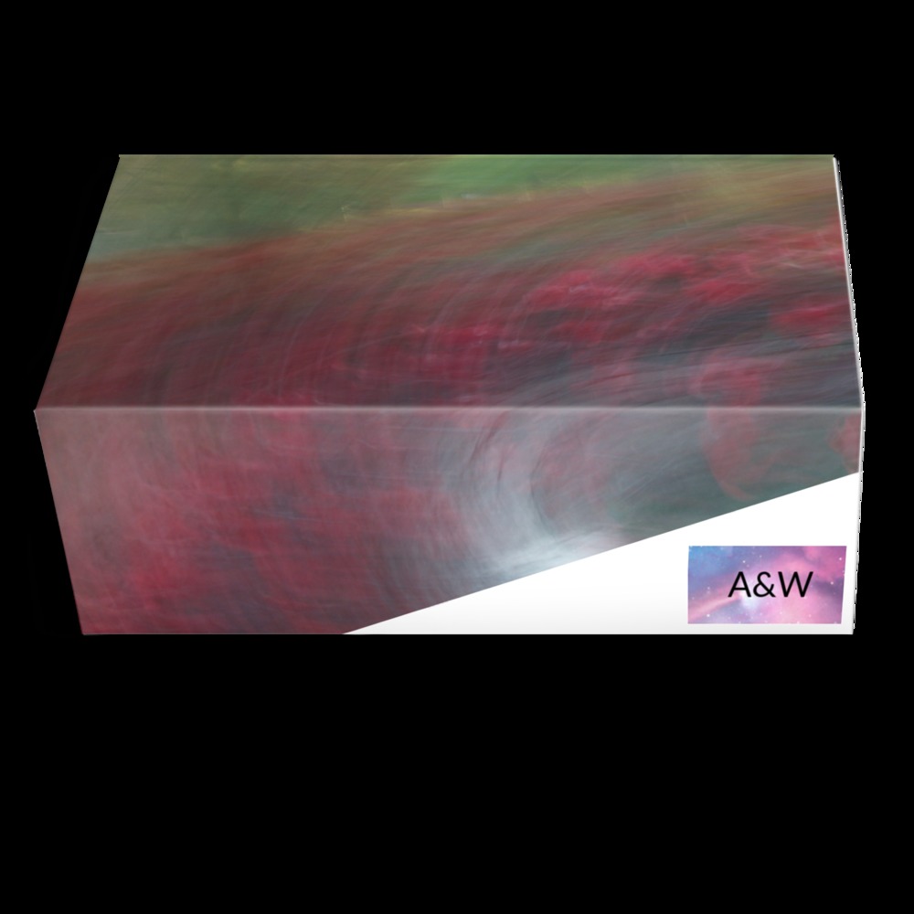 A&W | A Custom Shoe concept by Azijah Walker