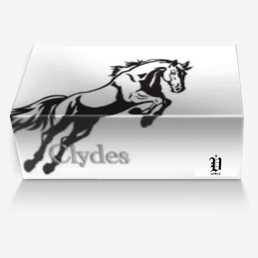 vics clyde classic custom made in Italy shoes by Brayden Murphy | Box view