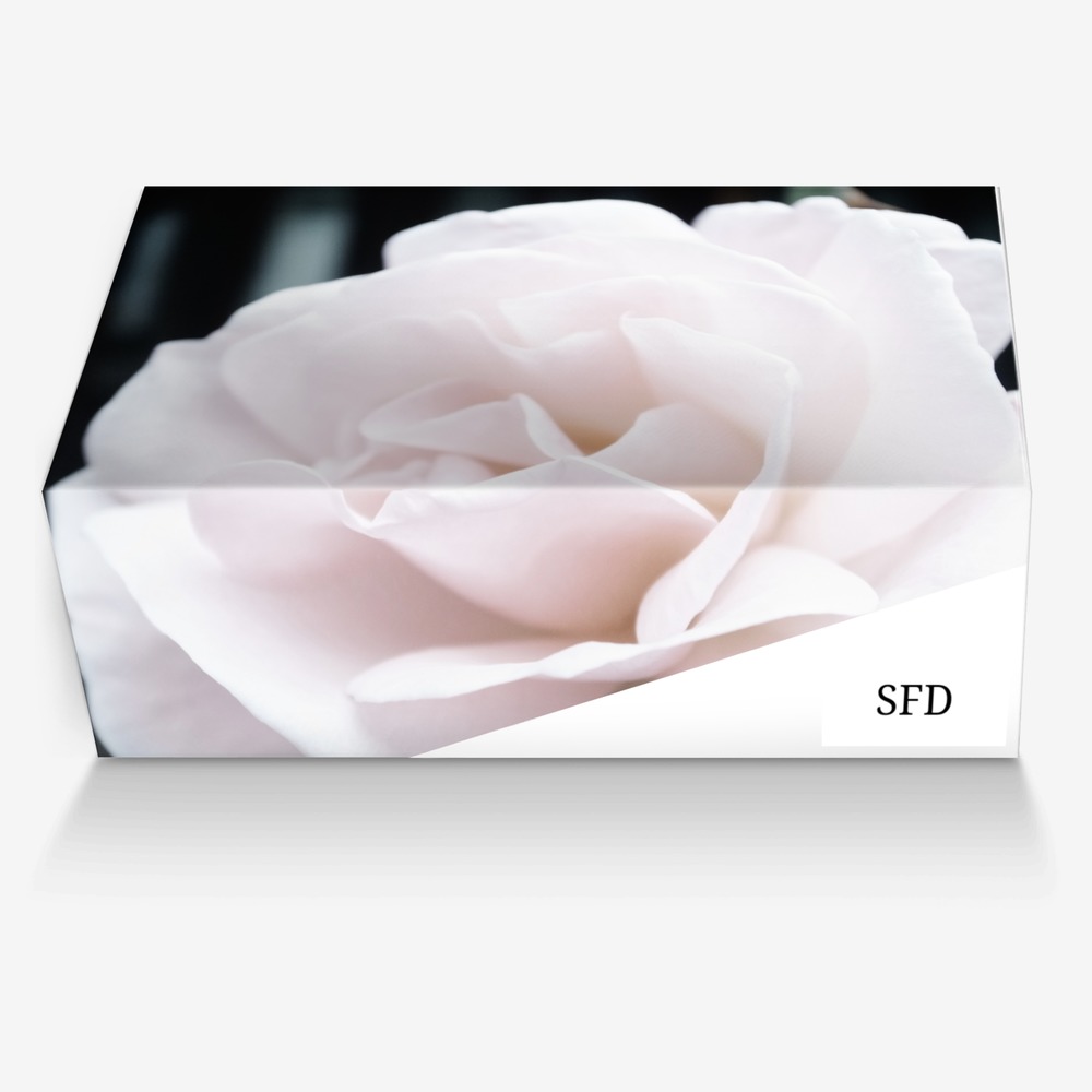 SFD Shoes™ custom made in Italy shoes by Susan Flynn-doyle | Box view