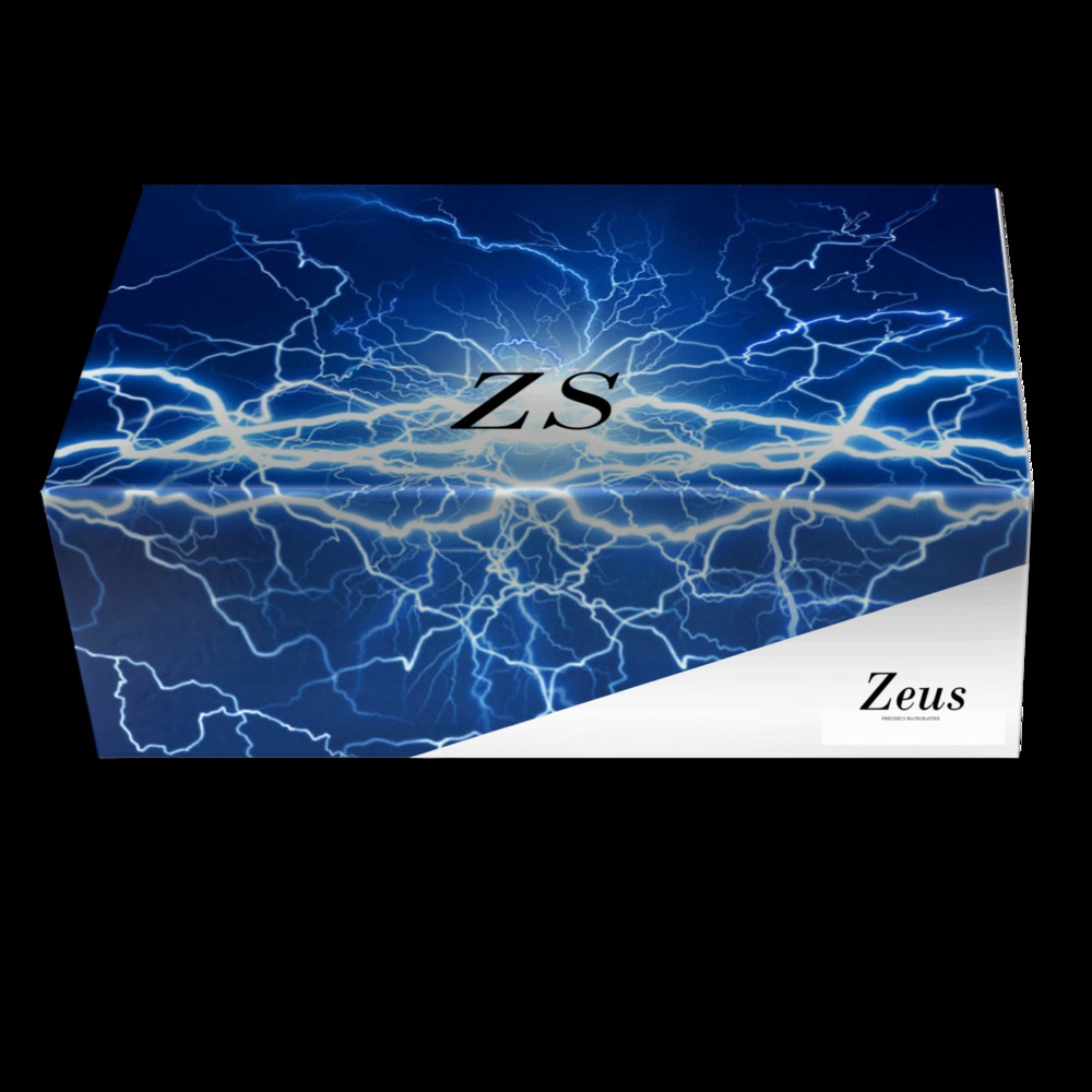 Zeus X3 | A Custom Shoe concept by Roberto Cendejas