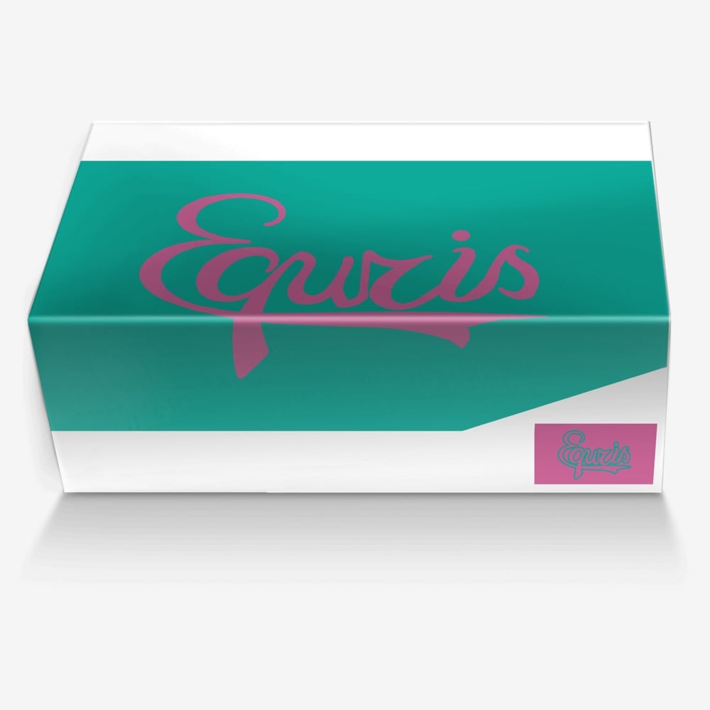 Equris custom made in Italy shoes by Deante Howard | Box view