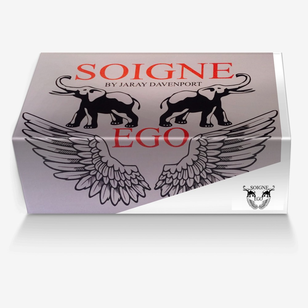Soigne Ego custom made in Italy shoes by Jaray Davenport | Box view