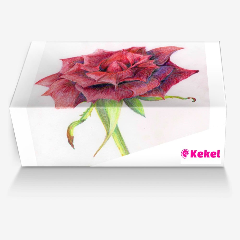 Kekel custom made in Italy shoes by Kerry Ann Lambie | Box view