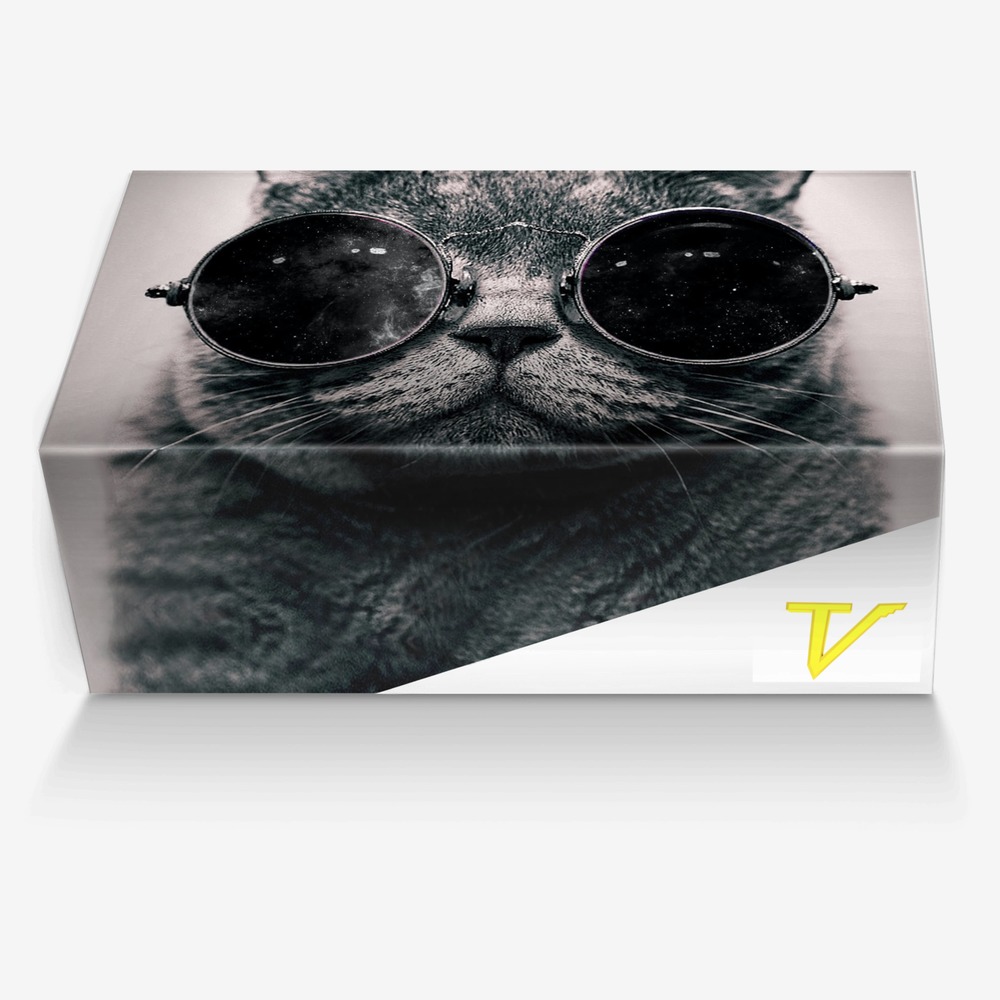 Panther custom made in Italy shoes by Lamont Sanders | Box view