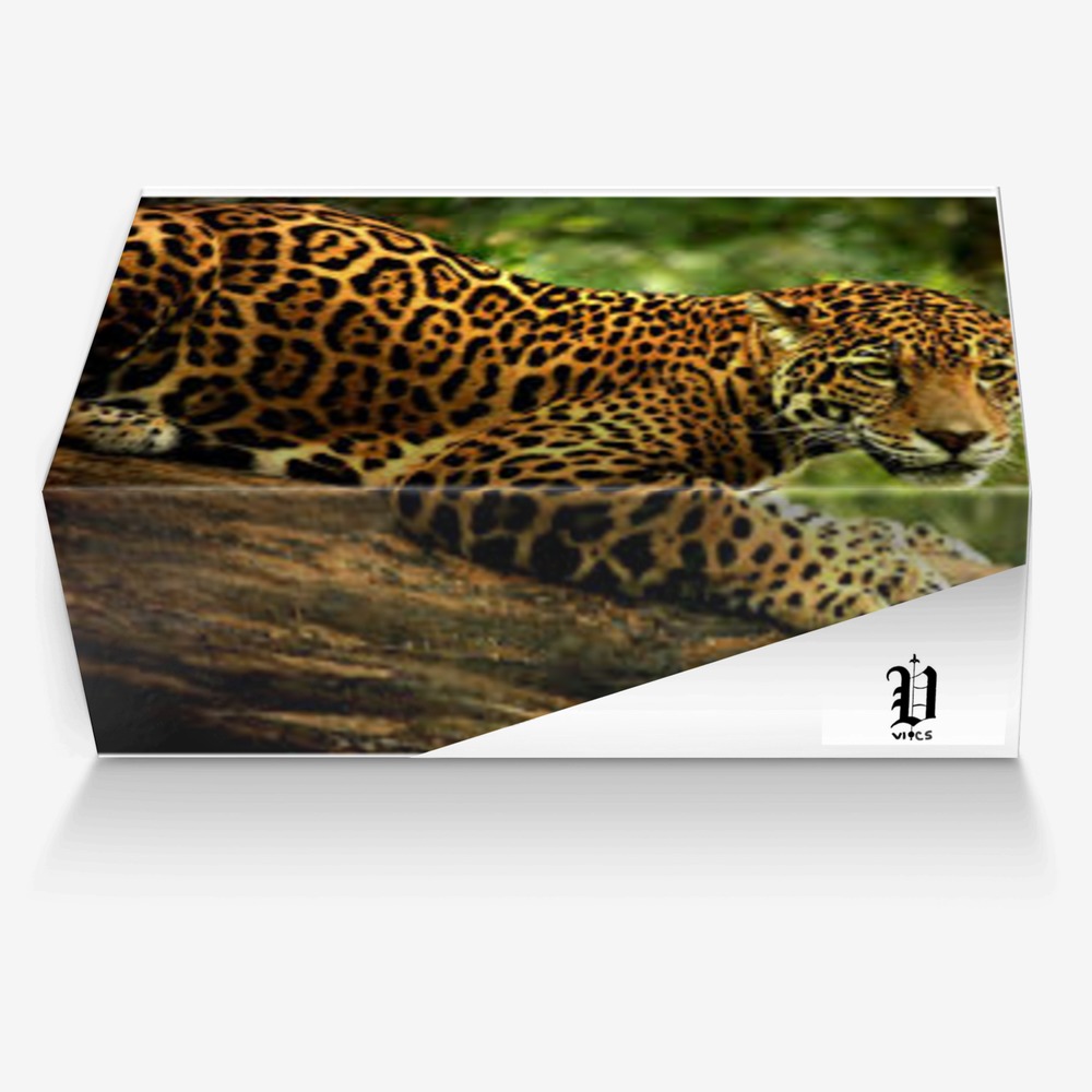 vics jaguar 3 custom made in Italy shoes by Brayden Murphy | Box view