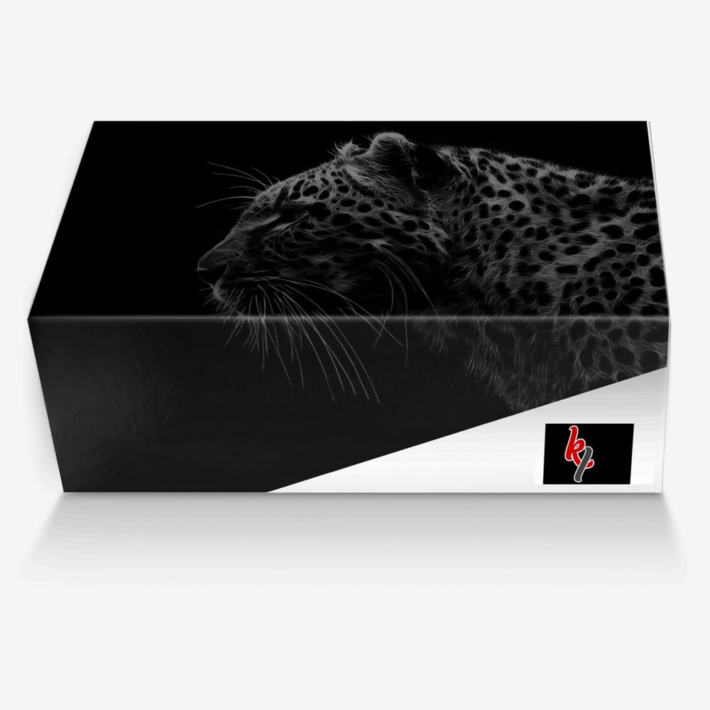 Karl Lunden custom made in Italy shoes by Talor Fiit | Box view