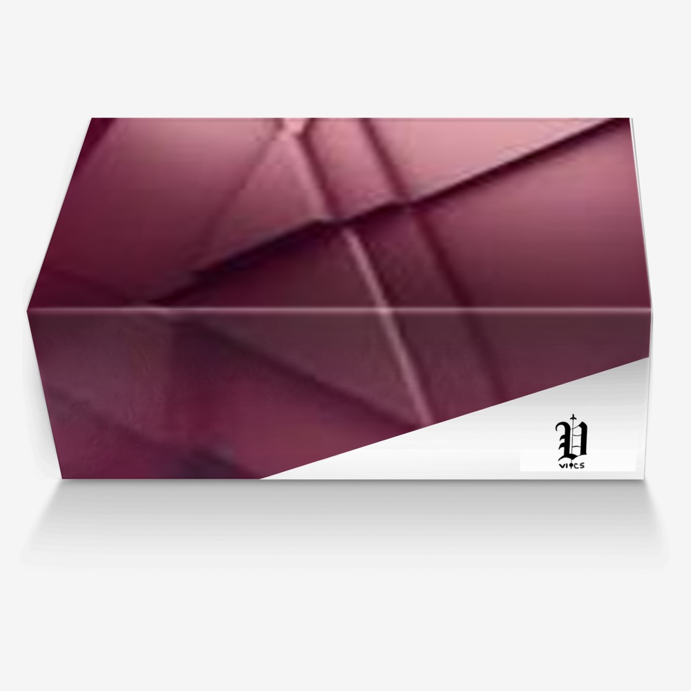 Vics maroon 2 custom made in Italy shoes by Brayden Murphy | Box view