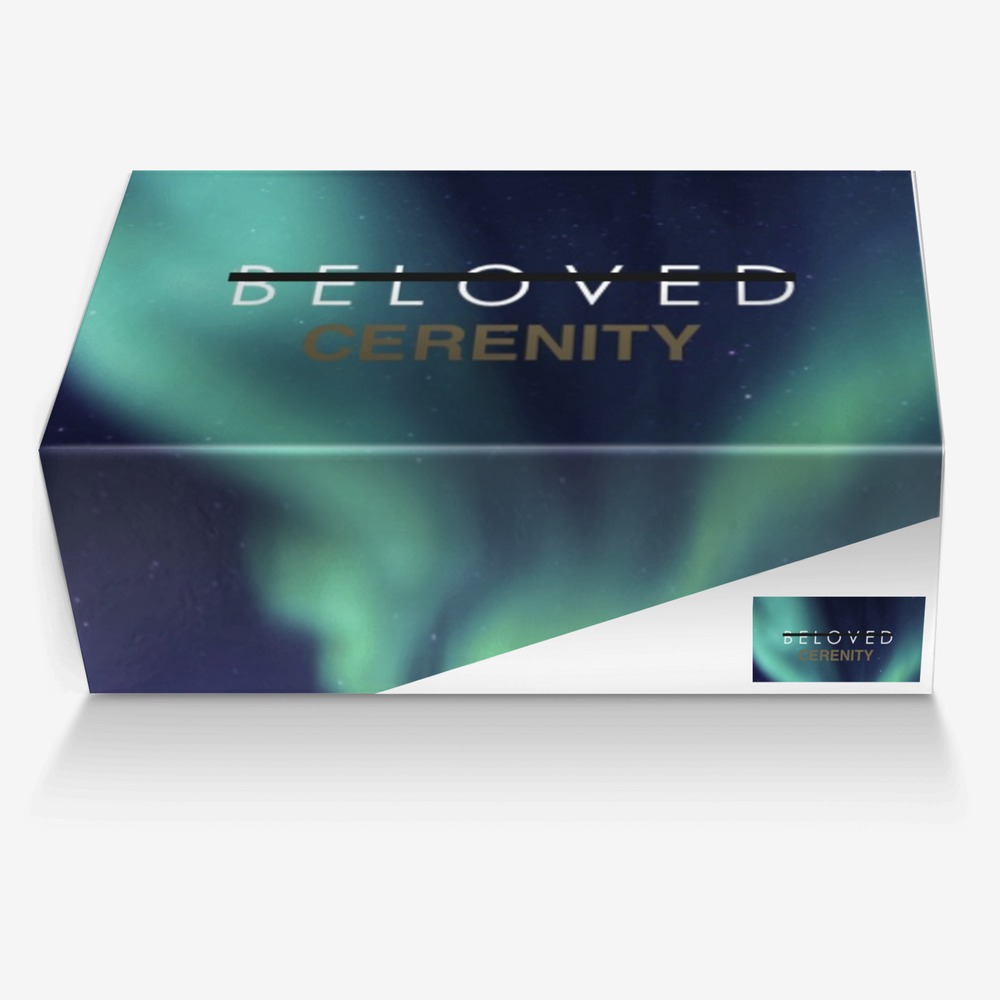 BC - Polar Lights custom made in Italy shoes by Beloved Cerenity | Box view