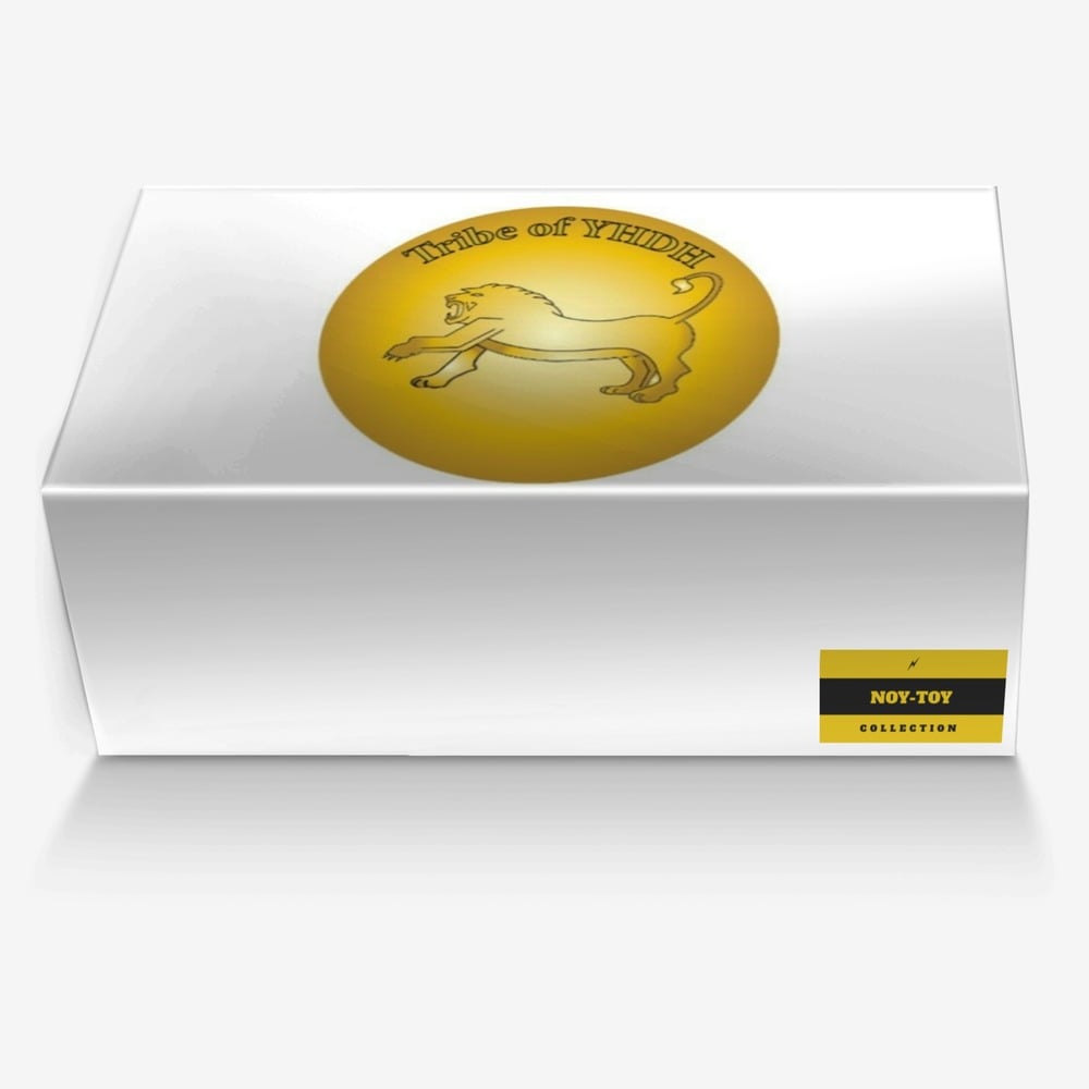 NOY-TOY custom made in Italy shoes by Dontae Levell | Box view