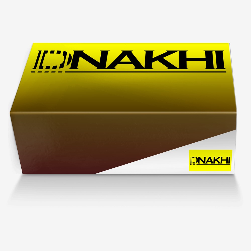 B. HORNET custom made in Italy shoes by Dnahki | Box view
