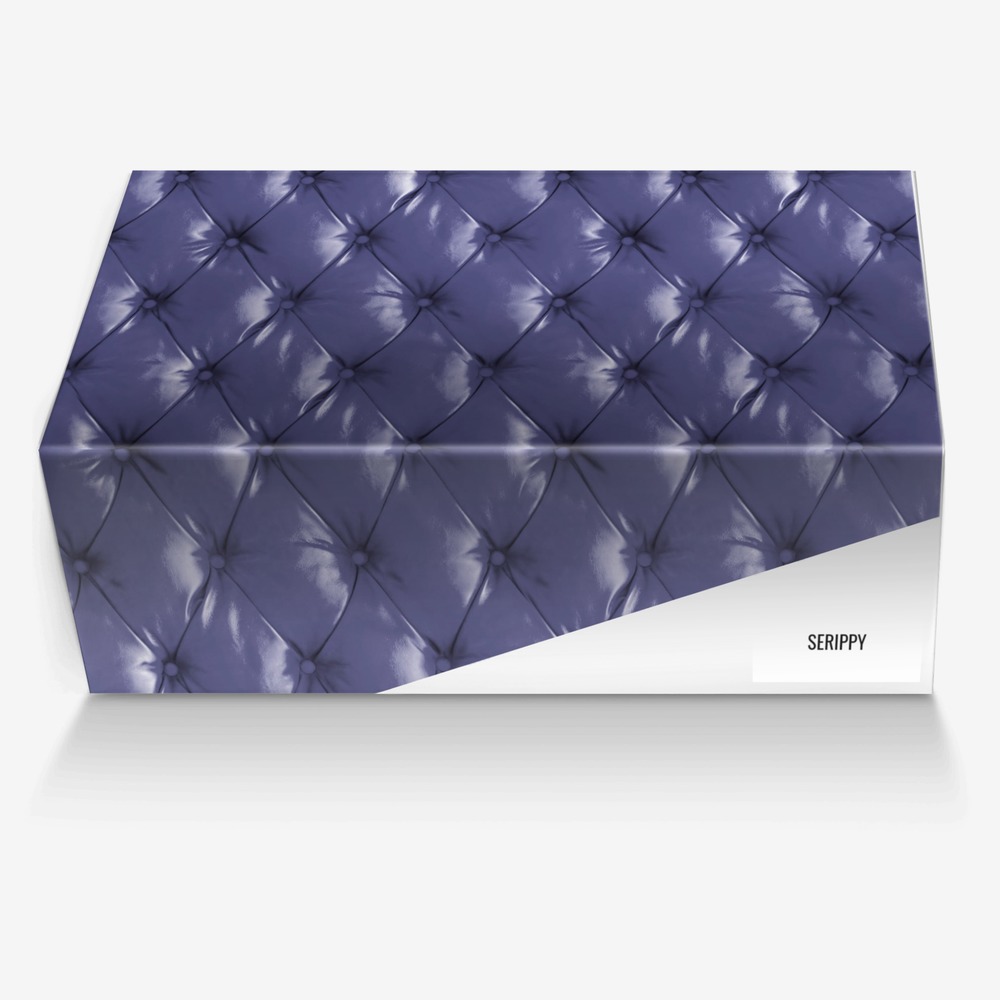 SERIPPY custom made in Italy shoes by Sherelle Rippy | Box view