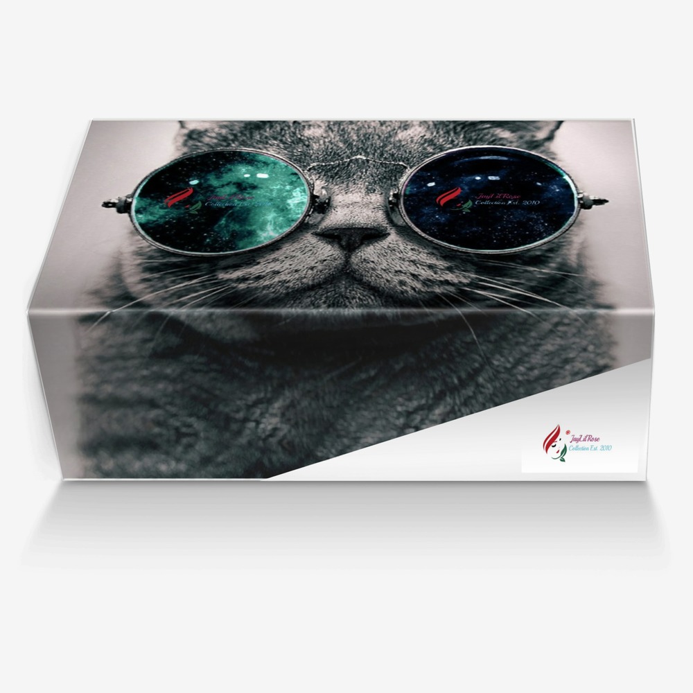 JLRxt Pr!nc3ss custom made in Italy shoes by Jlr Collection | Box view
