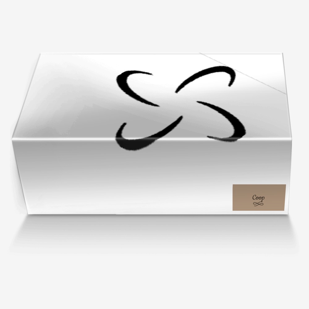 Coop custom made in Italy shoes by Marissa Cooper | Box view