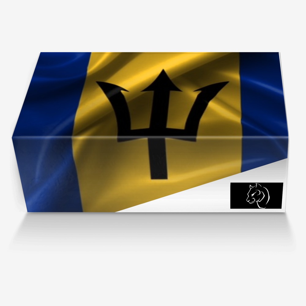 The Bridgetown custom made in Italy shoes by Shane Carter | Box view