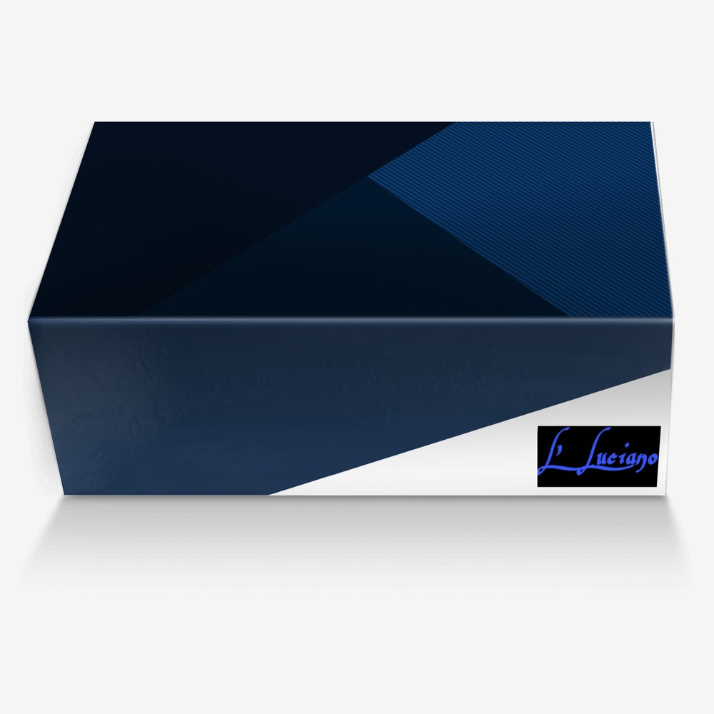 L'LUCIANO custom made in Italy shoes by Michael L. Jackson | Box view
