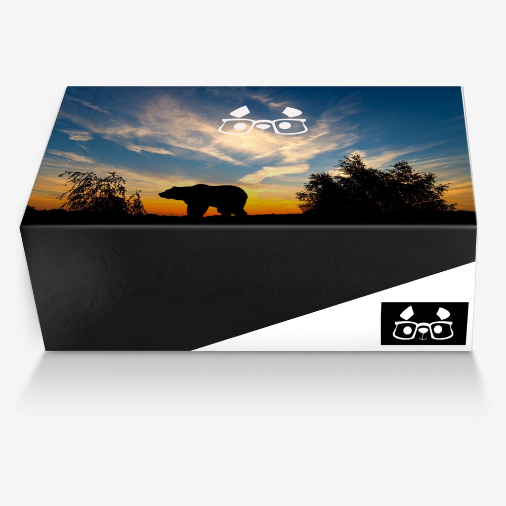WISE PANDA custom made in Italy shoes by Agency Aliveshoes | Box view