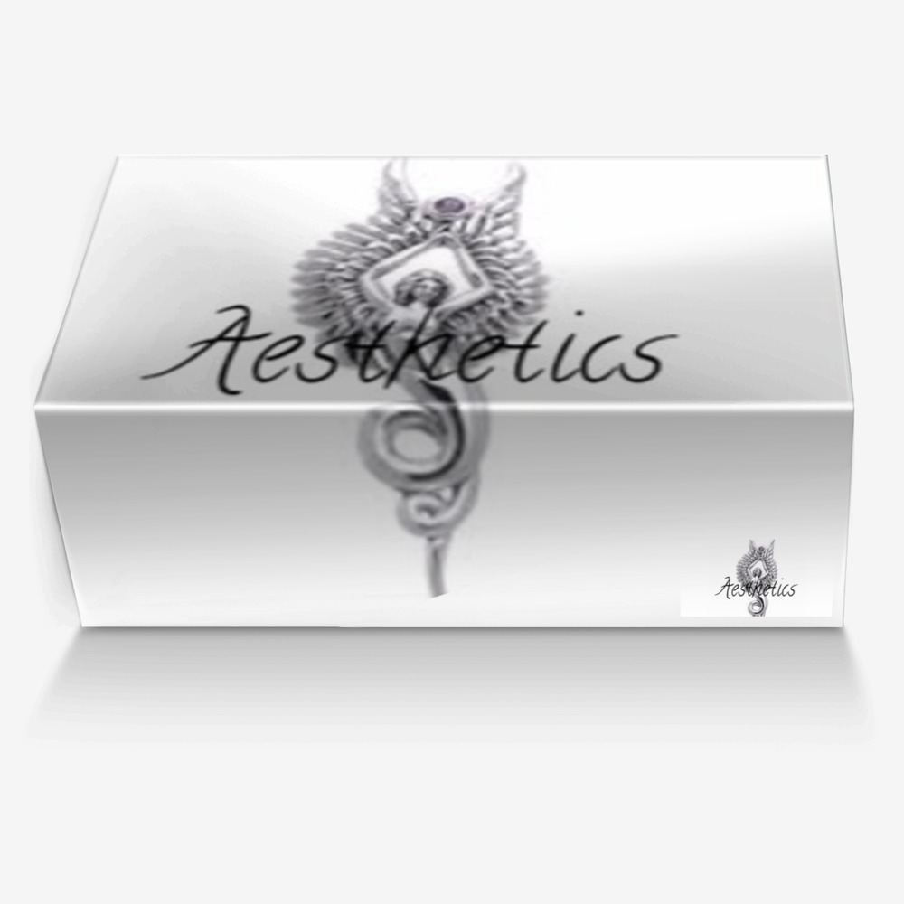 Aesthetics 2 custom made in Italy shoes by Cj Palmer | Box view