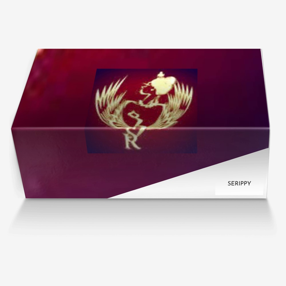 SERIPPY custom made in Italy shoes by Sherelle Rippy | Box view