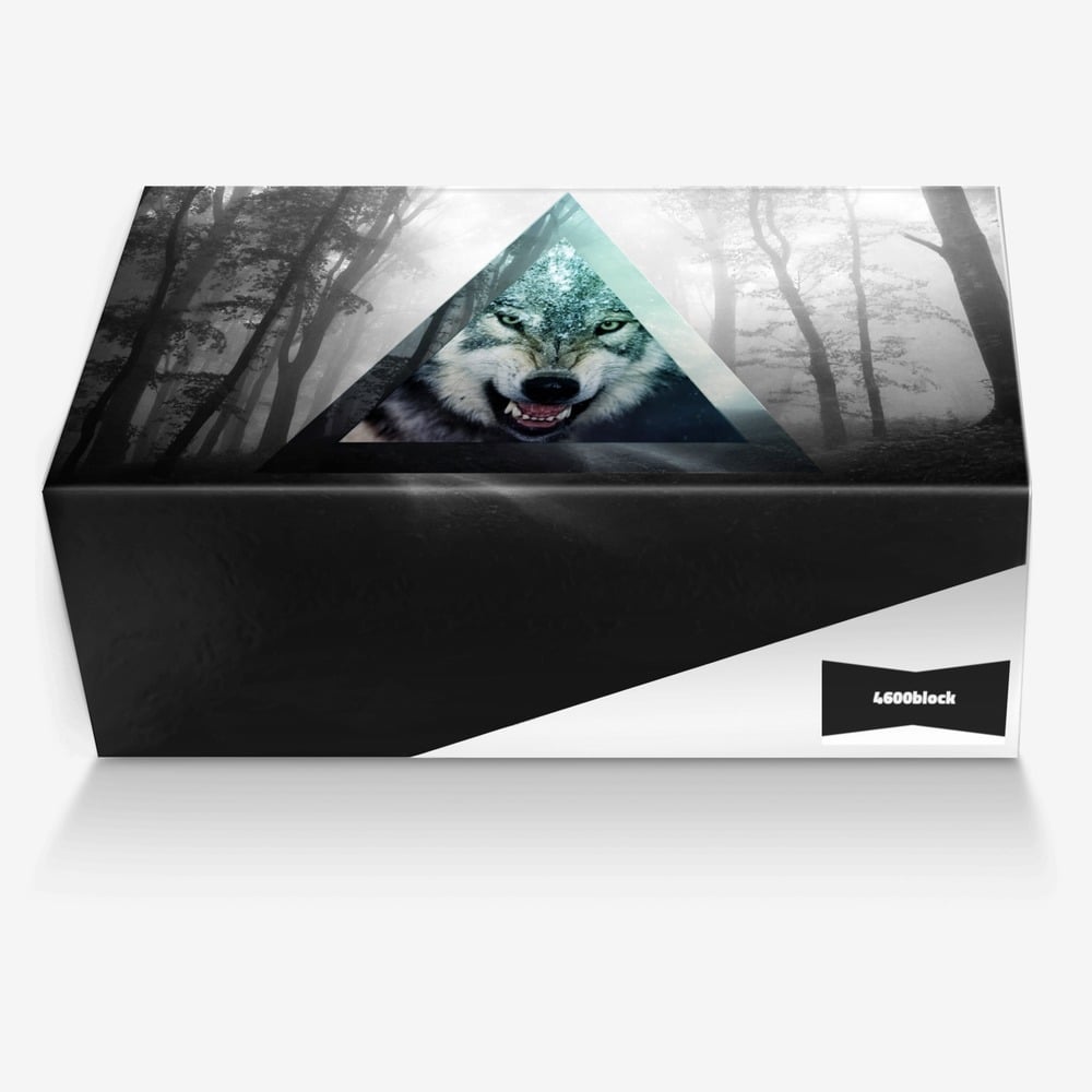 Eazy e's custom made in Italy shoes by Nick Salazar | Box view