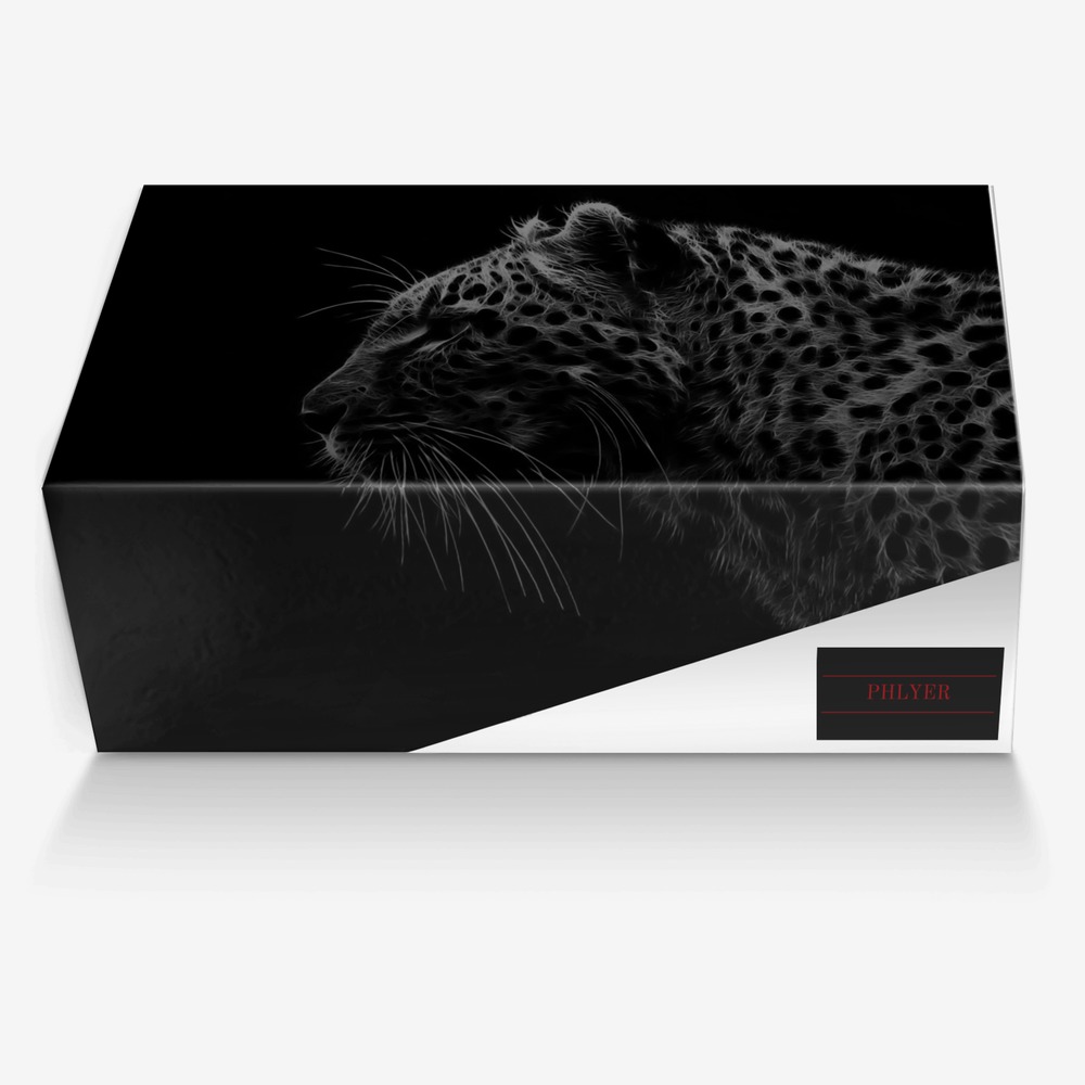 The Bloody Jungle custom made in Italy shoes by Moyo Jones | Box view