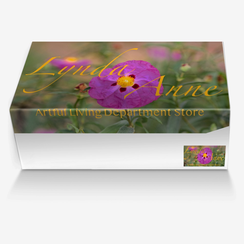 LA Lux custom made in Italy shoes by Lynda Anne Williams | Box view