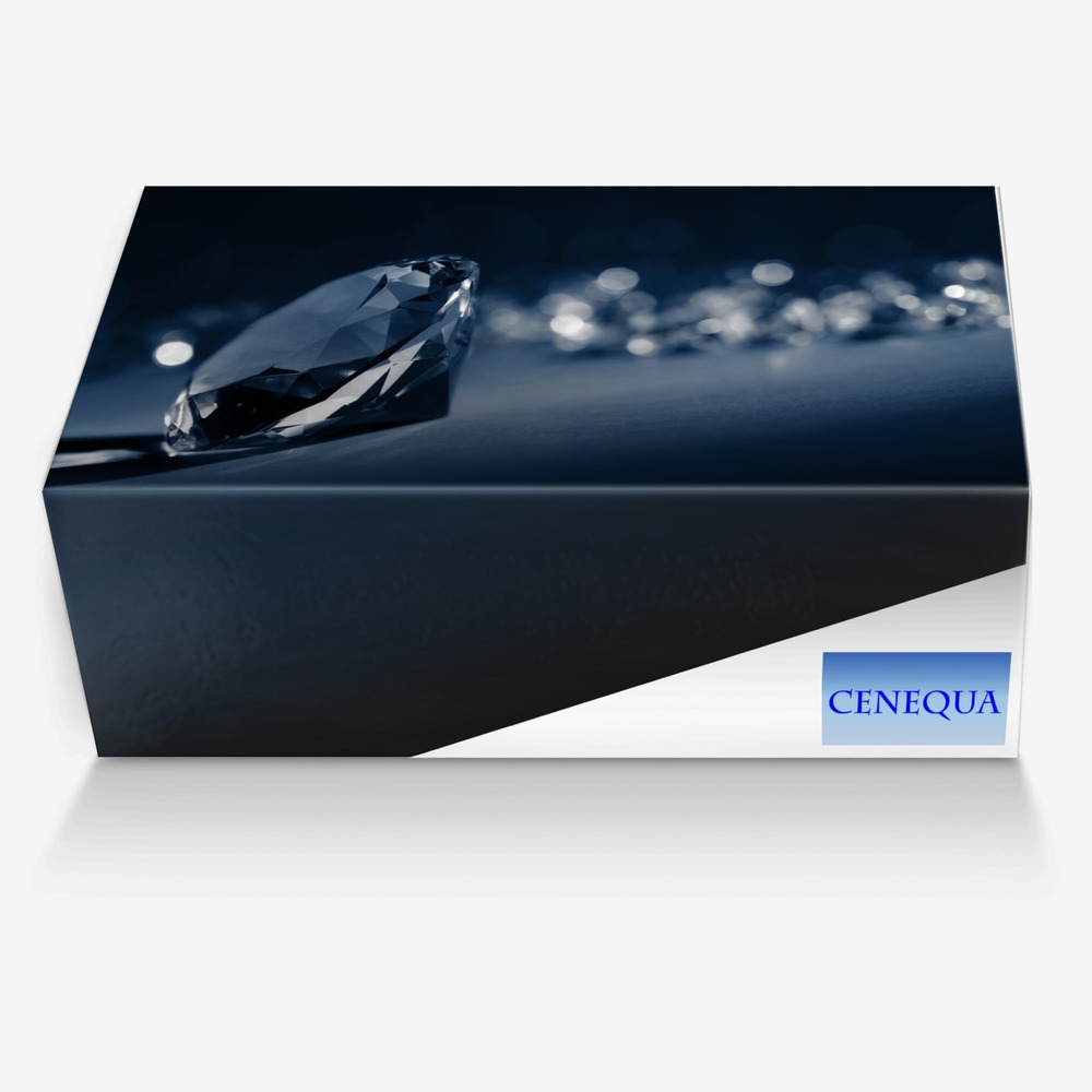 CENEQUA custom made in Italy shoes by Cenequa Nikkole Gaston | Box view