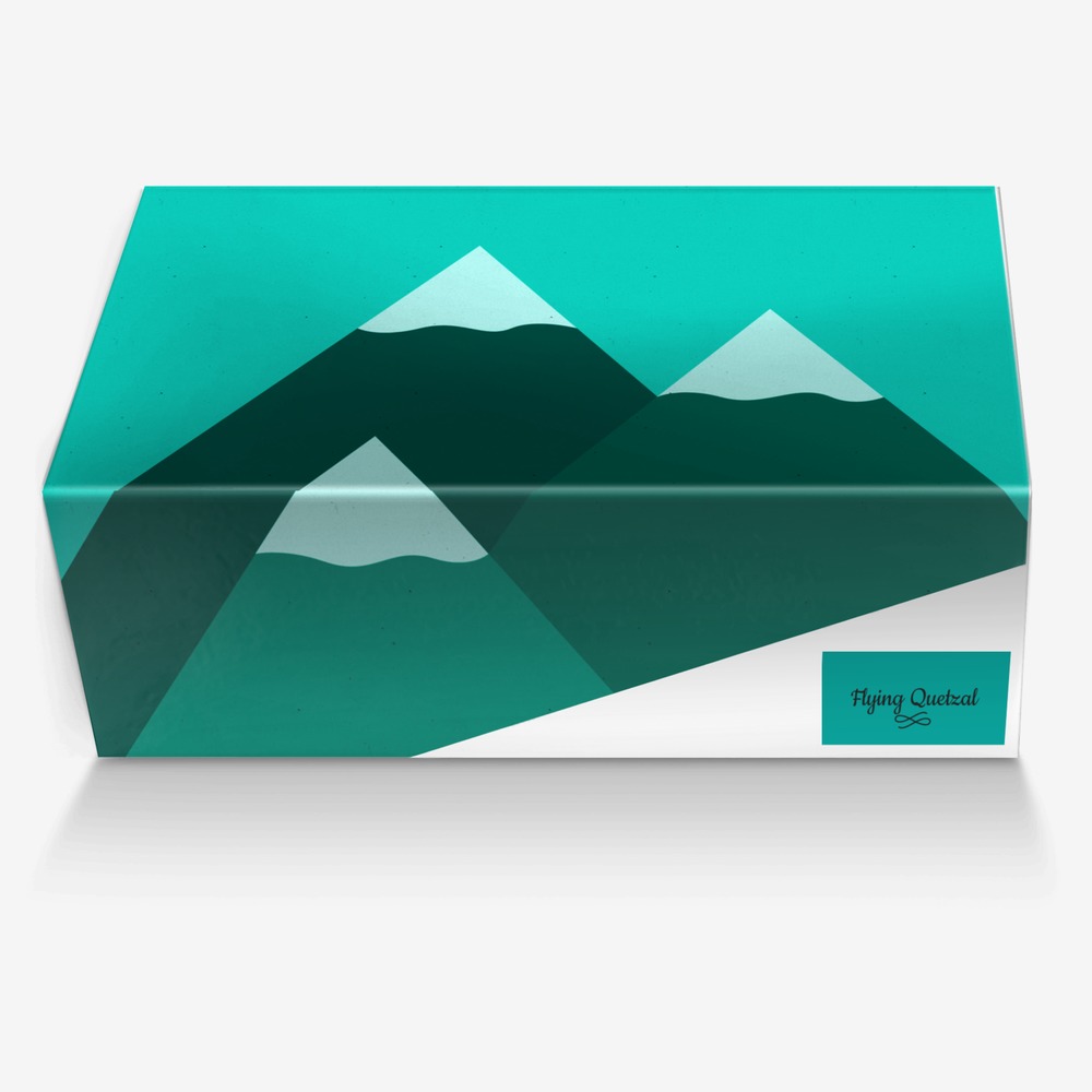 Flying Quetzal custom made in Italy shoes by Jose Morales | Box view