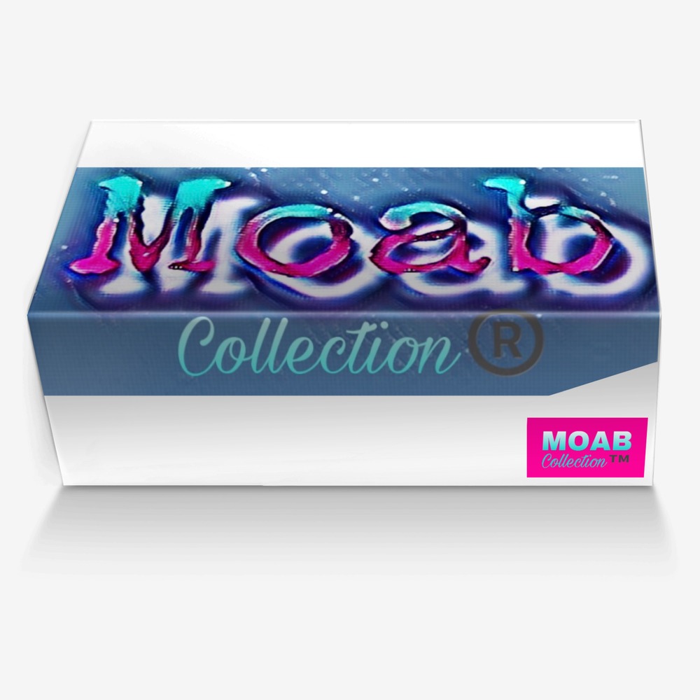 MOAB custom made in Italy shoes by Nasir Ma'At-el | Box view
