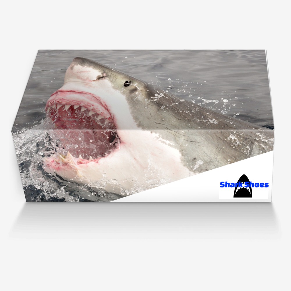 Shark Shoes custom made in Italy shoes by Kevin Barnard | Box view