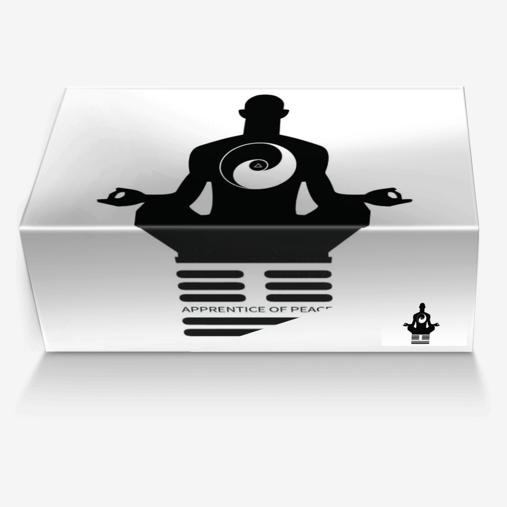 AOP QI MOVEMENT  custom made in Italy shoes by The Apprentice Of Peace | Box view